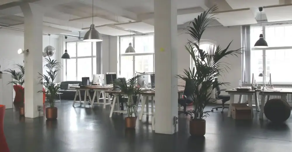 Will Citizen Developers Reduce Programmer Shortages?-post-image