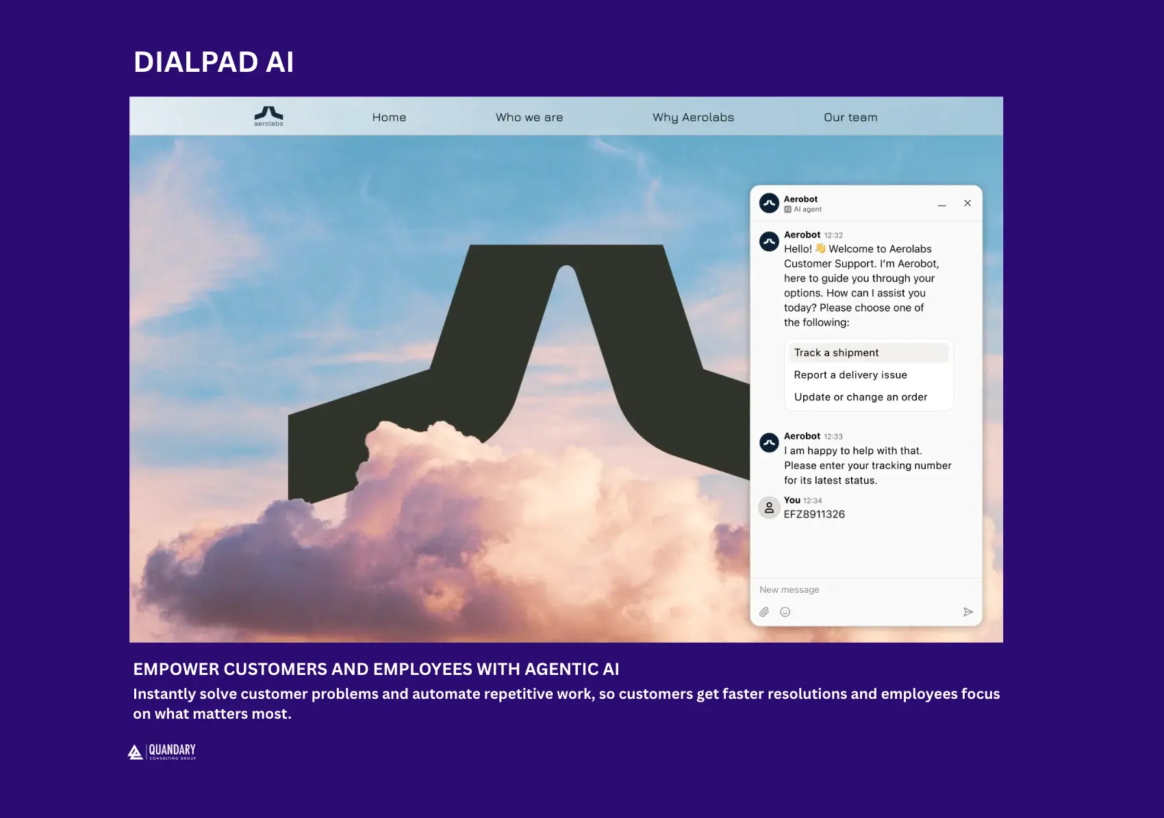 Dialpad AI | Quandary Consulting Group