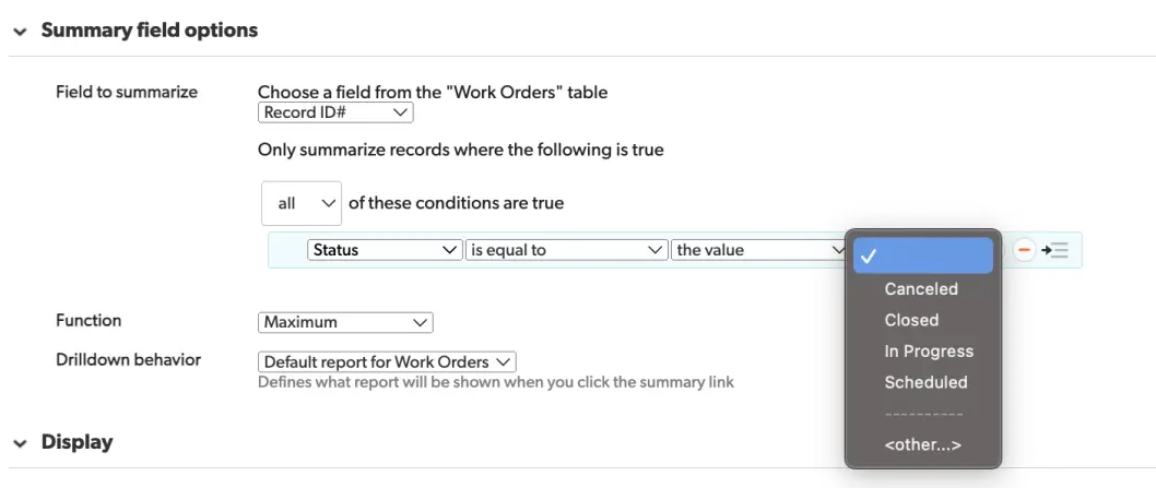 Summary field options