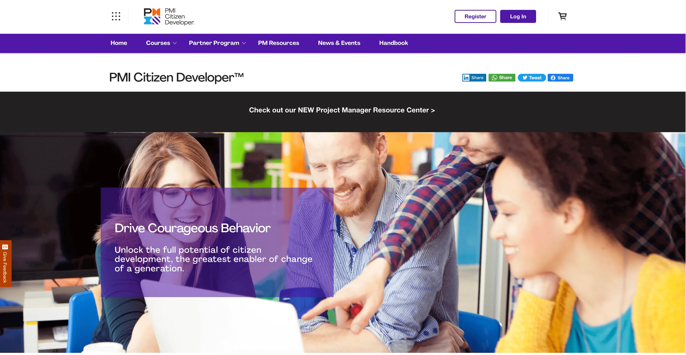 PMI Citizen Developer