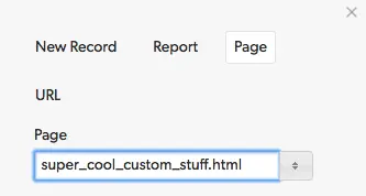 a screenshot of the new record page in wordpress