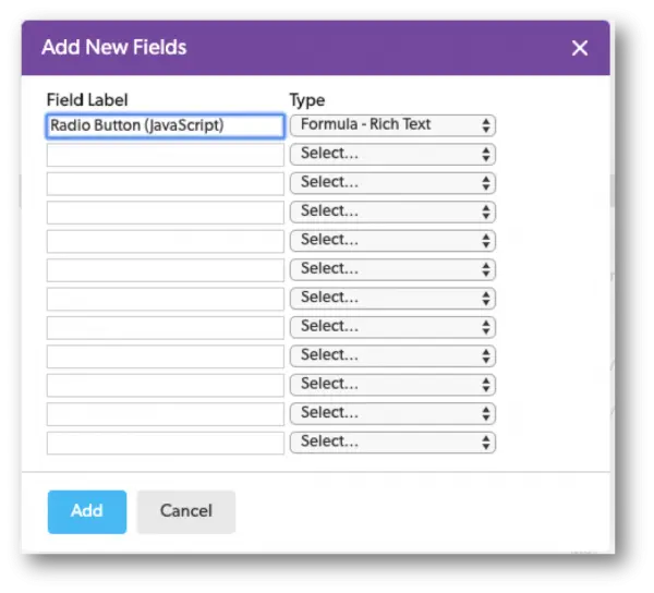 a screenshot of the add new fields tab
