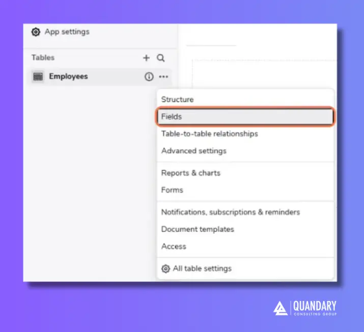 Select Fields in Table Structure | Quandary Consulting Group