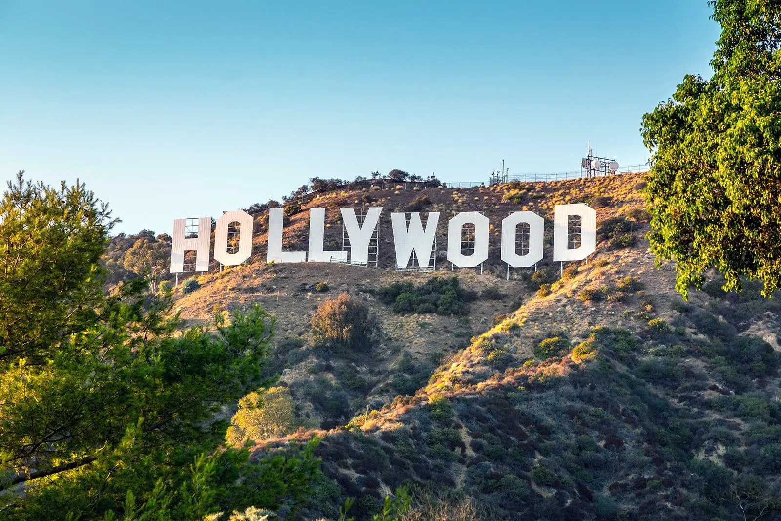 City of Los Angeles Modernizes Digital Civic Engagement With Quickbase and an Accessible Public Website