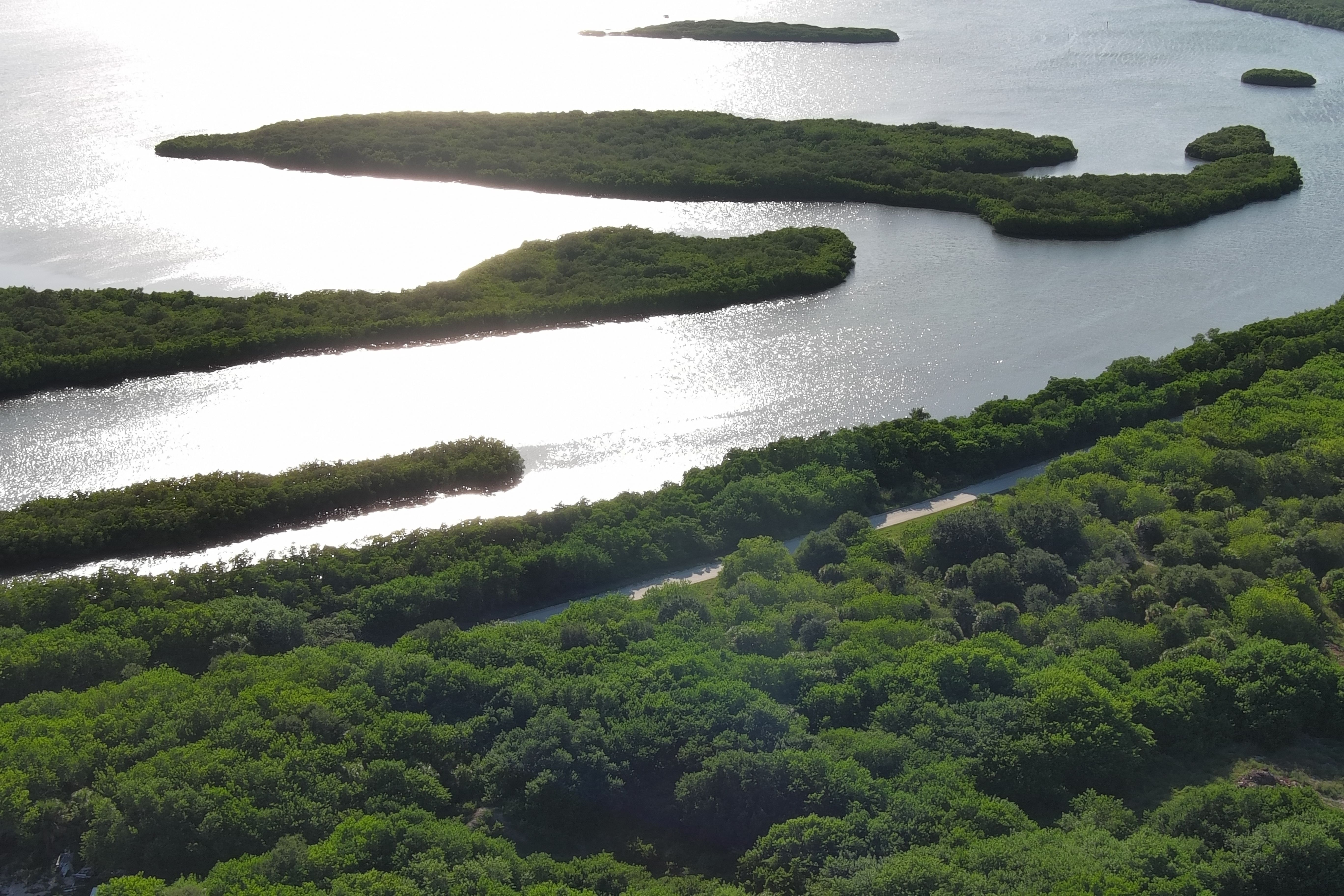 Indian River Lagoon