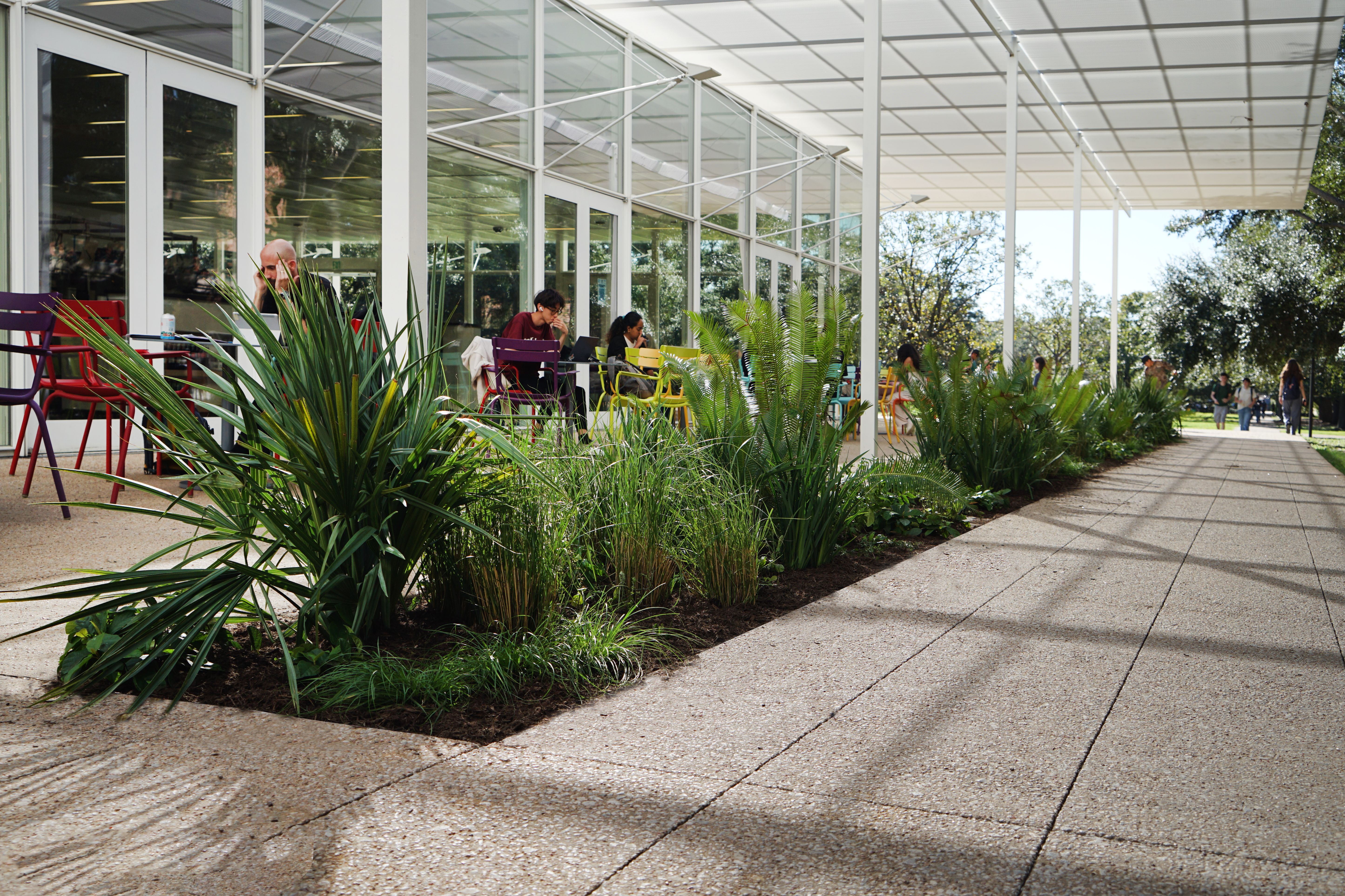 Brochstein Pavilion Planting