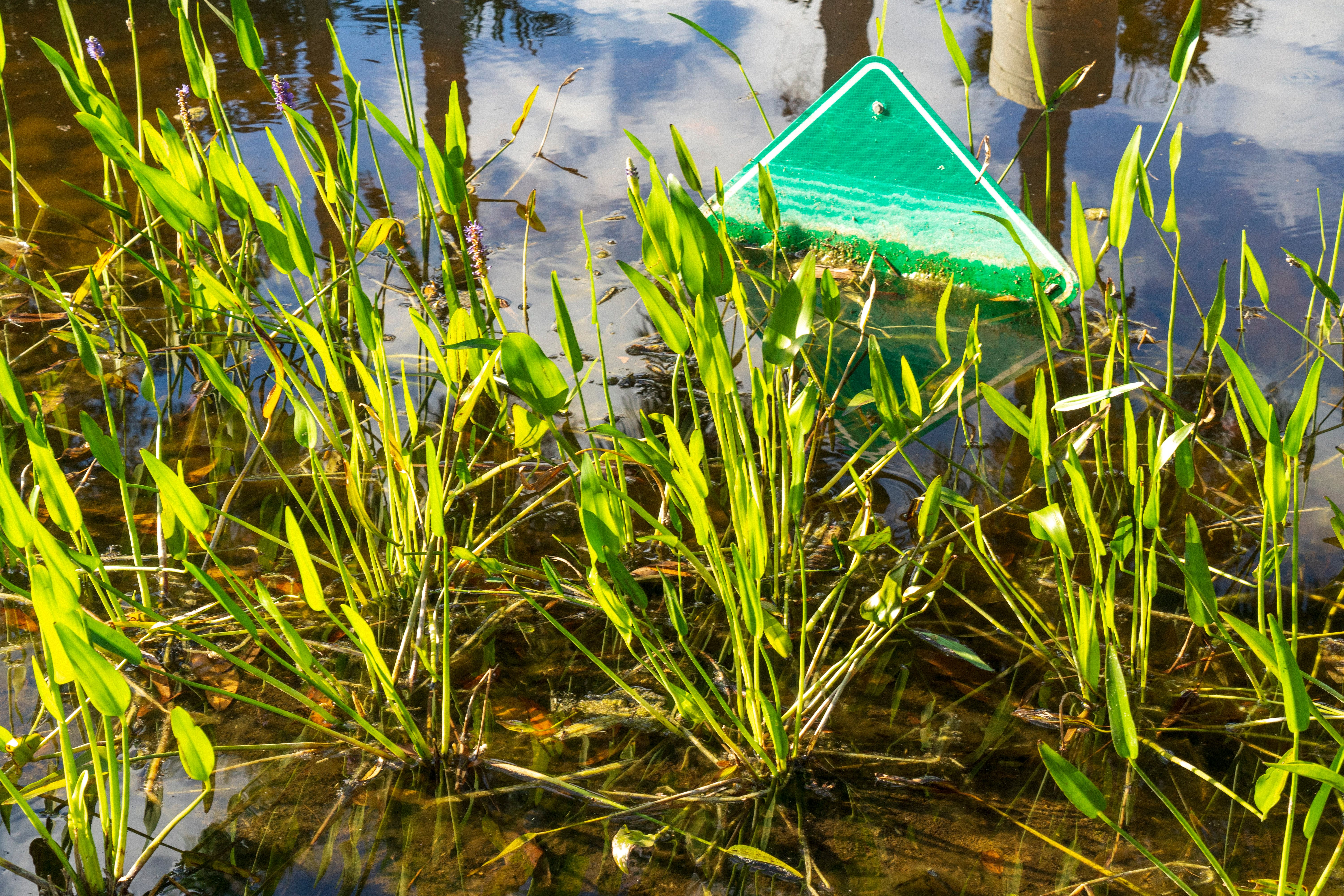 Good Neighbor Stormwater Park