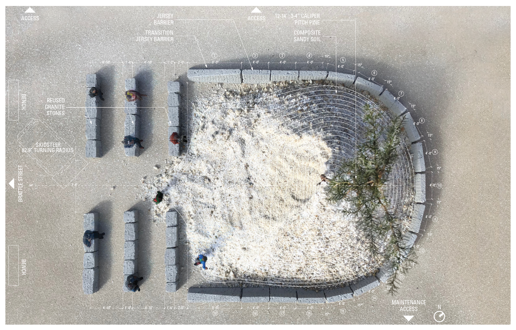 Pine in the Sand Plan