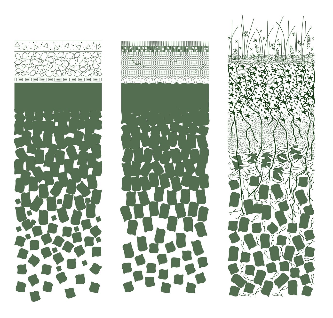 Soil Sections