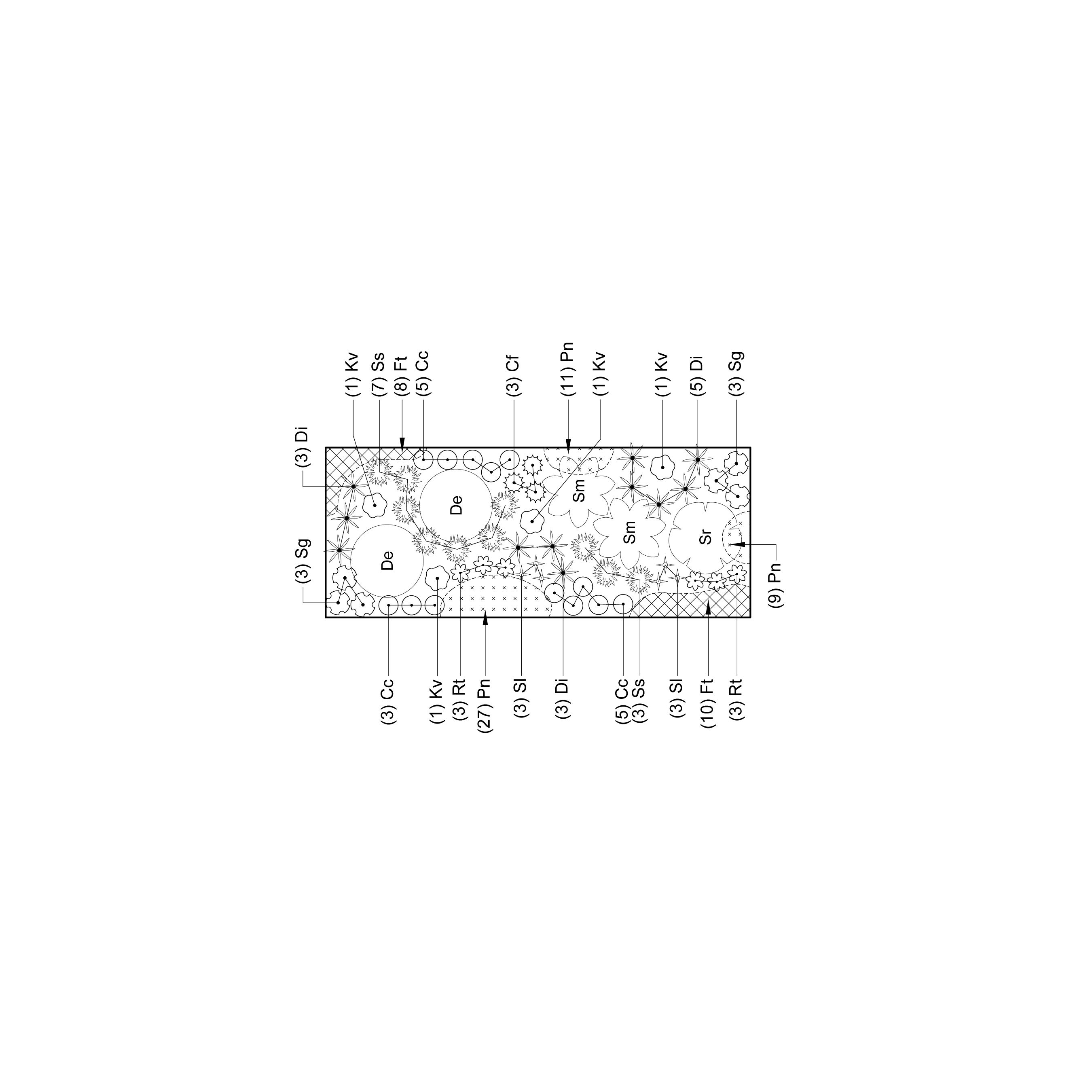 Planting Plan 1