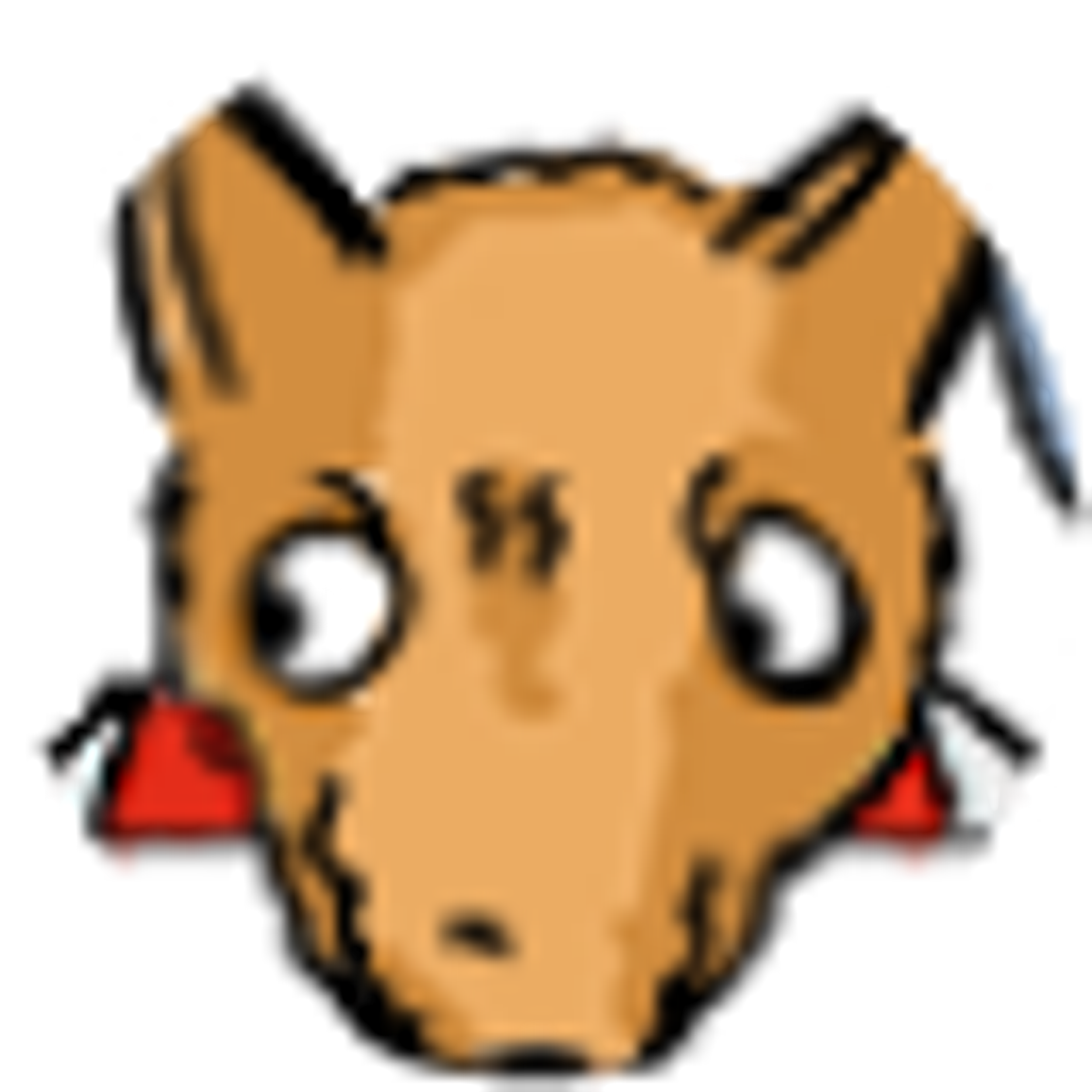 Dingo