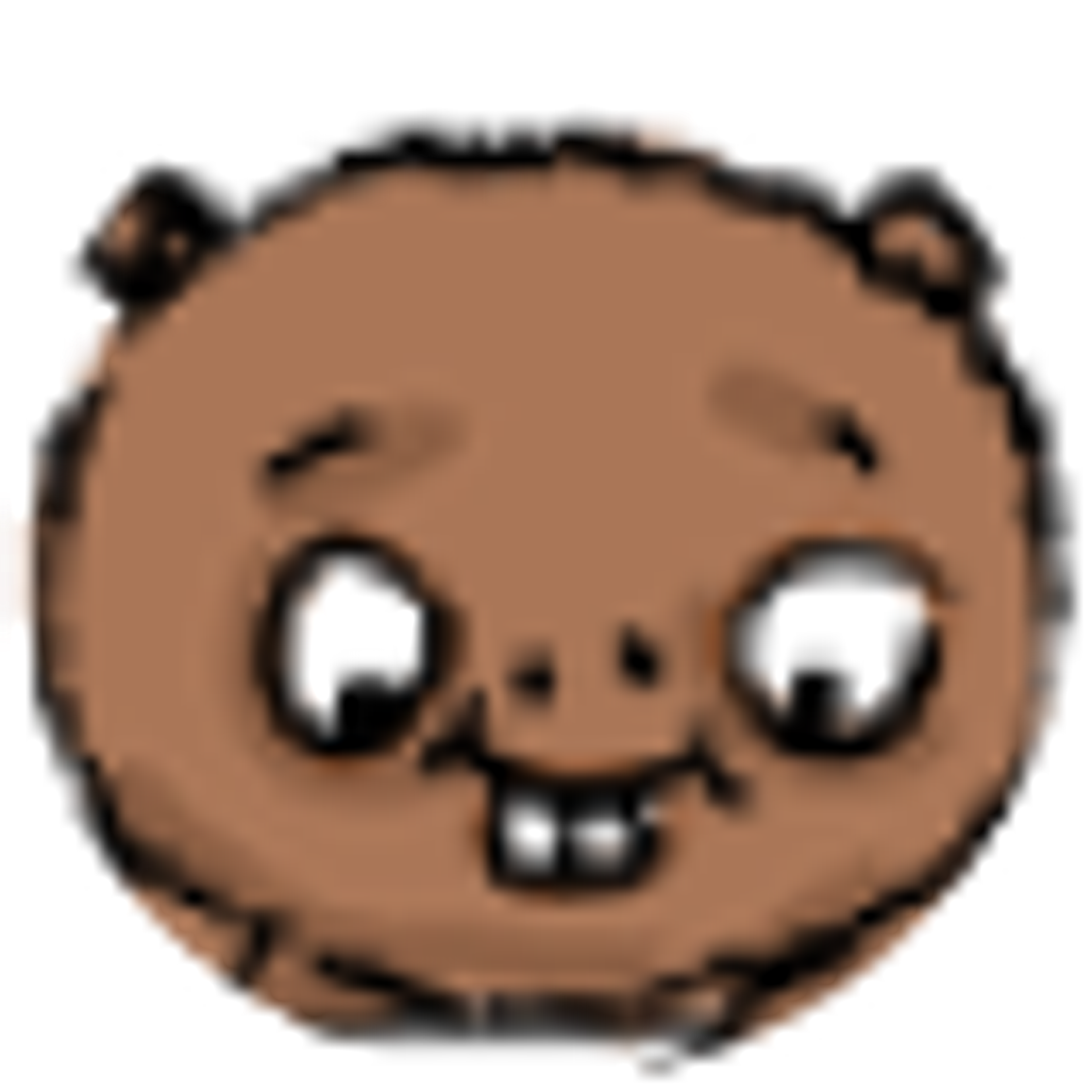 Beaver