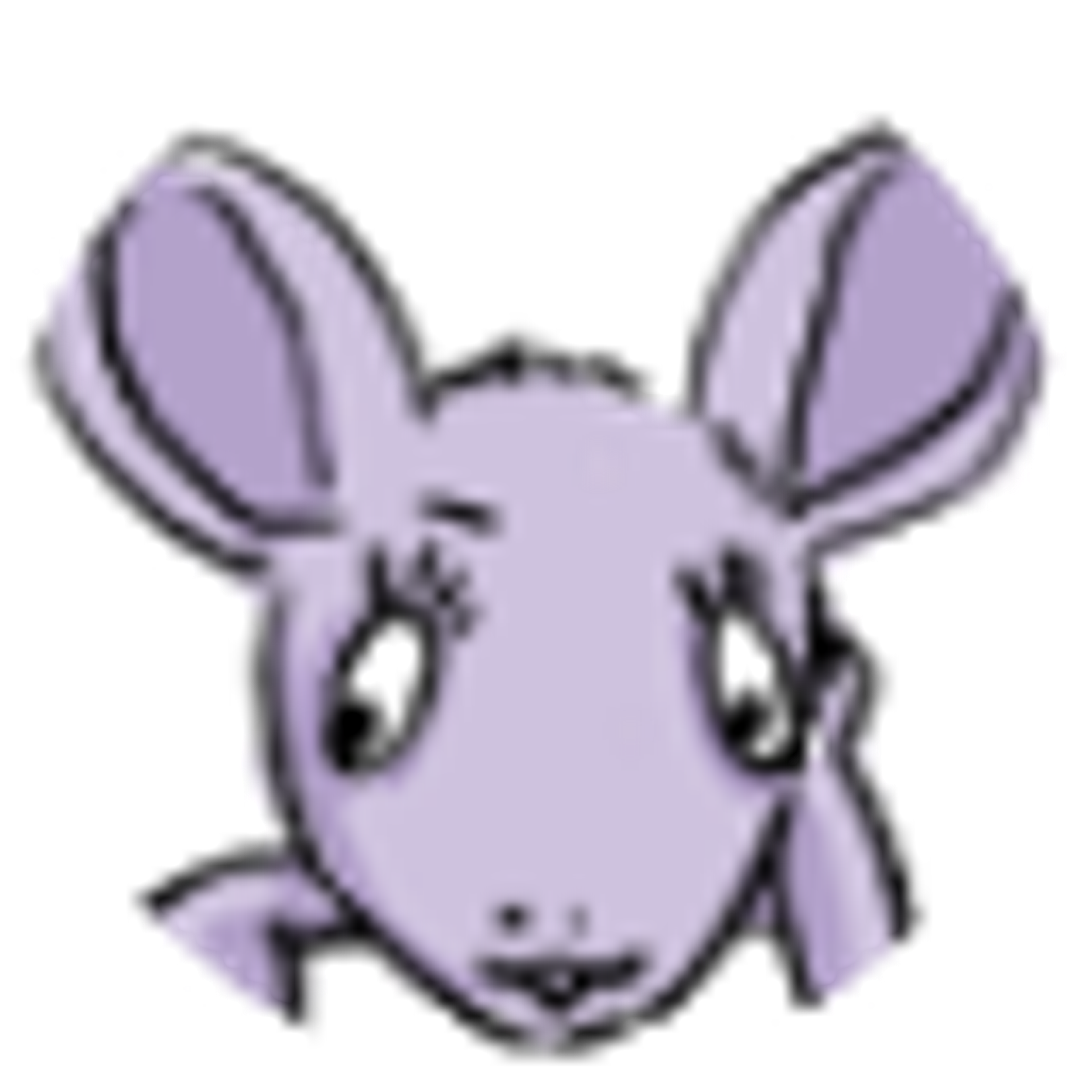 Chinchilla