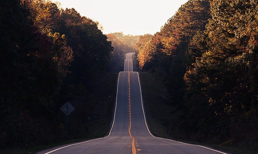 Straight highway stretching toward the horizon through golden autumn foliage, with yellow center line marking the road ahead.