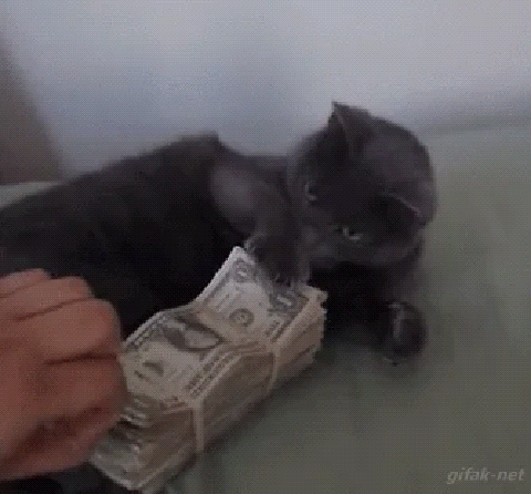 Black cat pawing at a stack of paper money held by a person's hand.