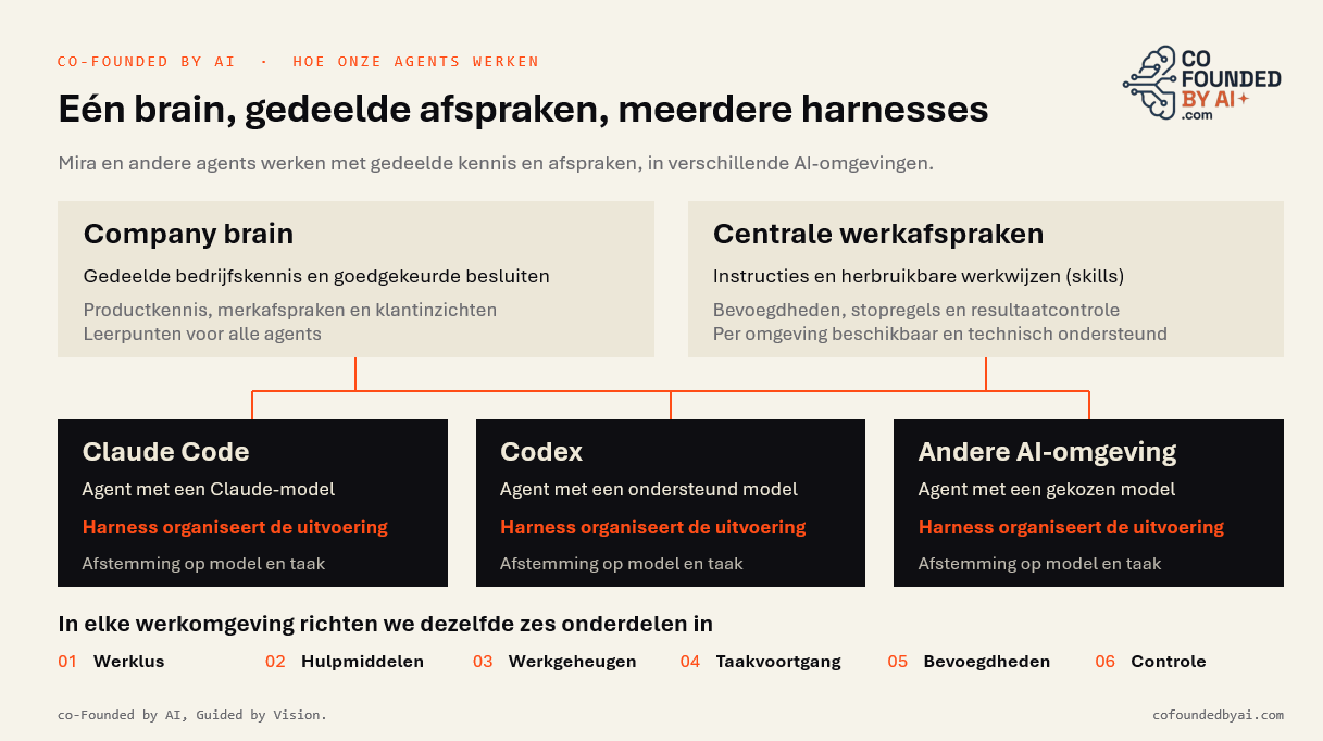 Brain en Harness