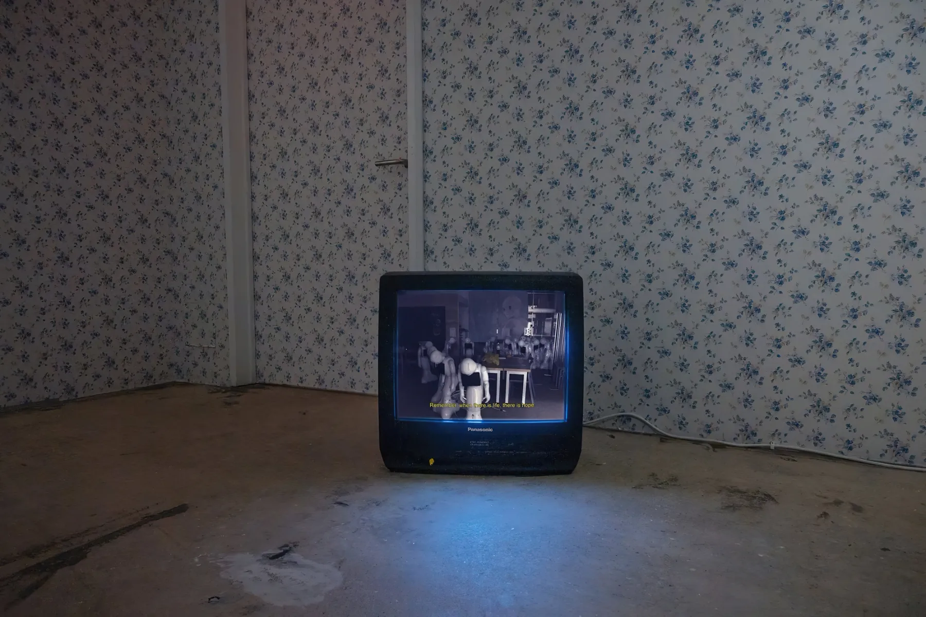 Bootleg Oracle, 2020. Installation view. Photography by Charlie Rubin, courtesy of Swiss Institute