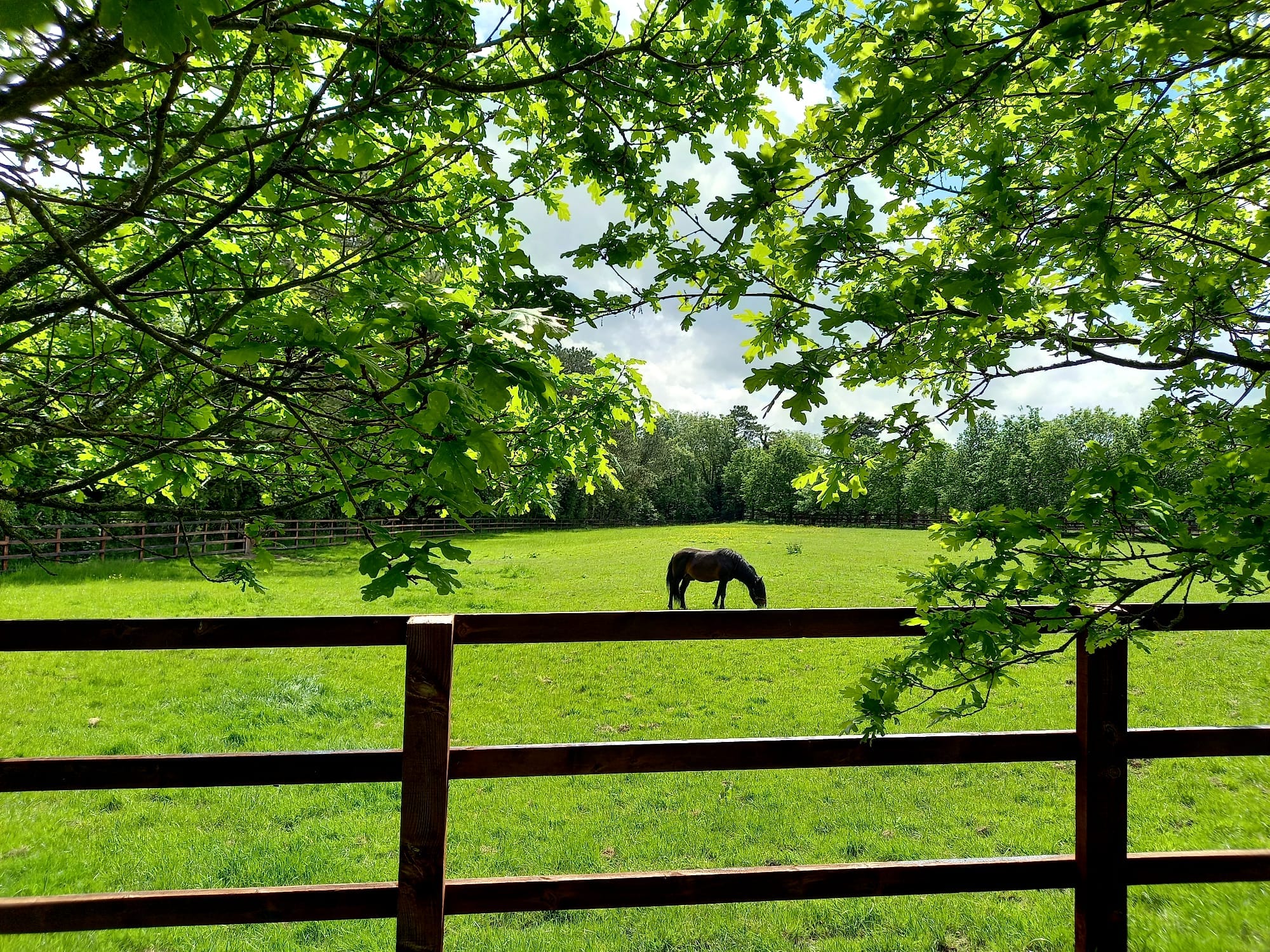 Favourite day trips: Irish National Stud & Gardens is a thoroughbred experience