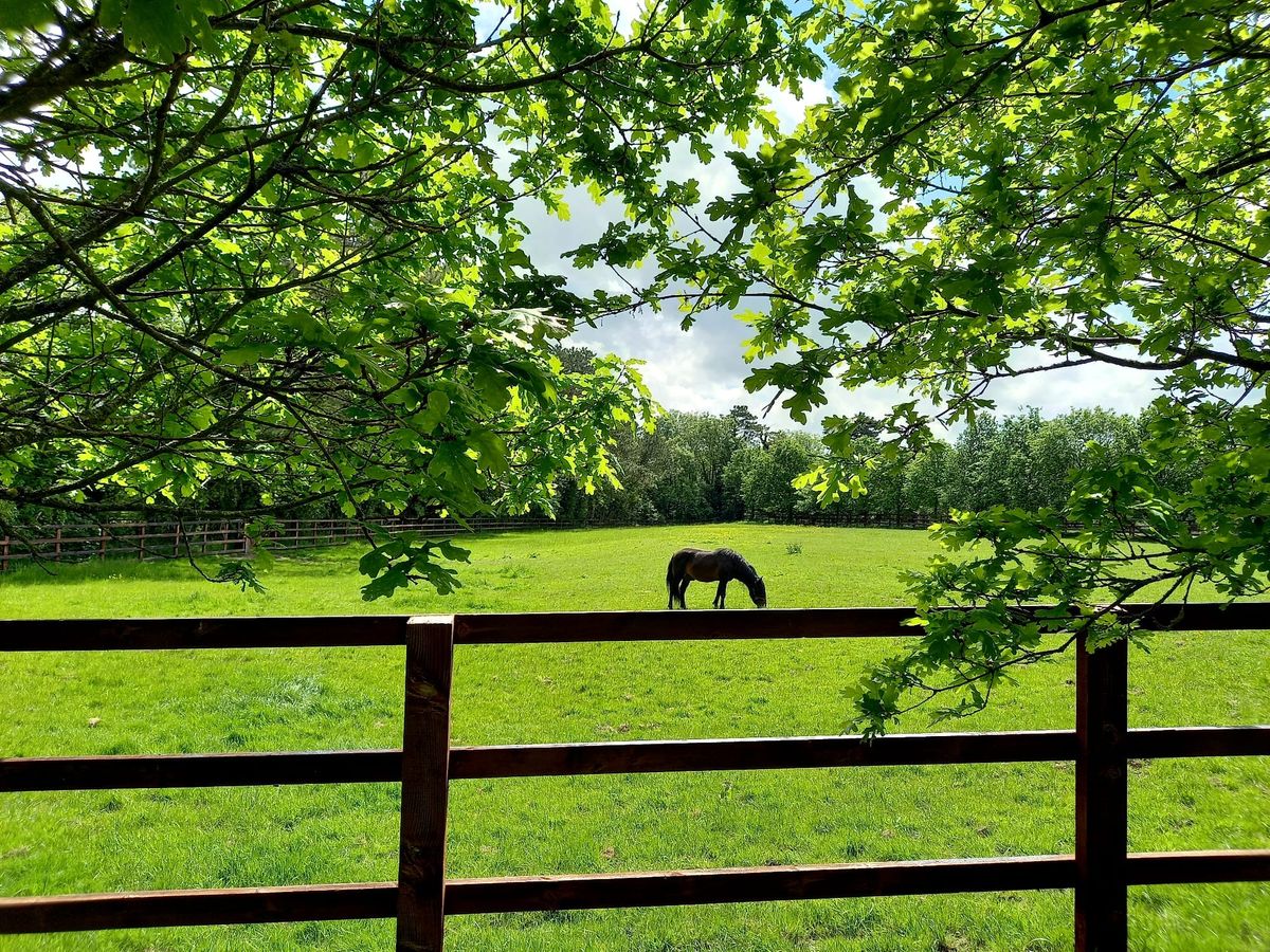 Favourite day trips: Irish National Stud & Gardens is a thoroughbred experience