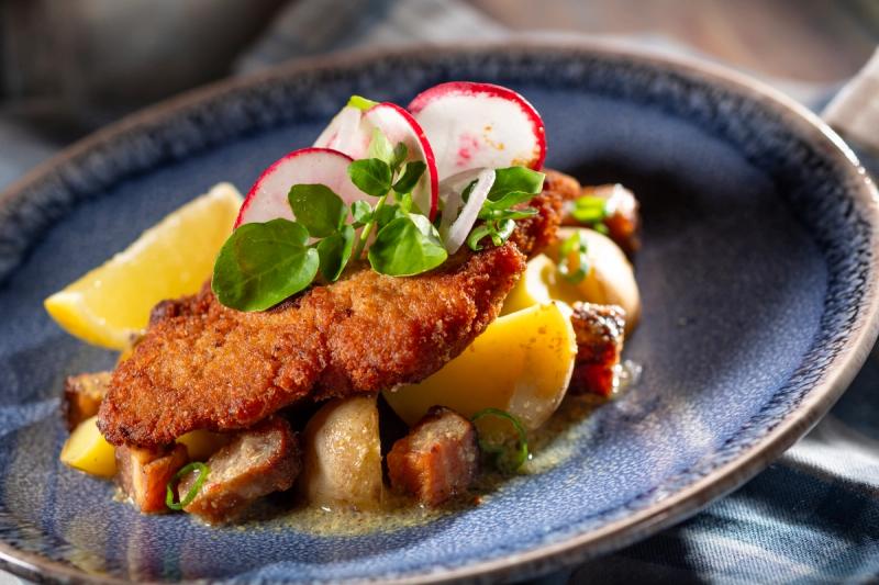 The image features a beautifully presented plate of schnitzel garnished with radishes, herbs, and lemon slices, served alongside potatoes and other accompaniments. The focus is on the textures and colors of the dish, highlighting a gourmet presentation.