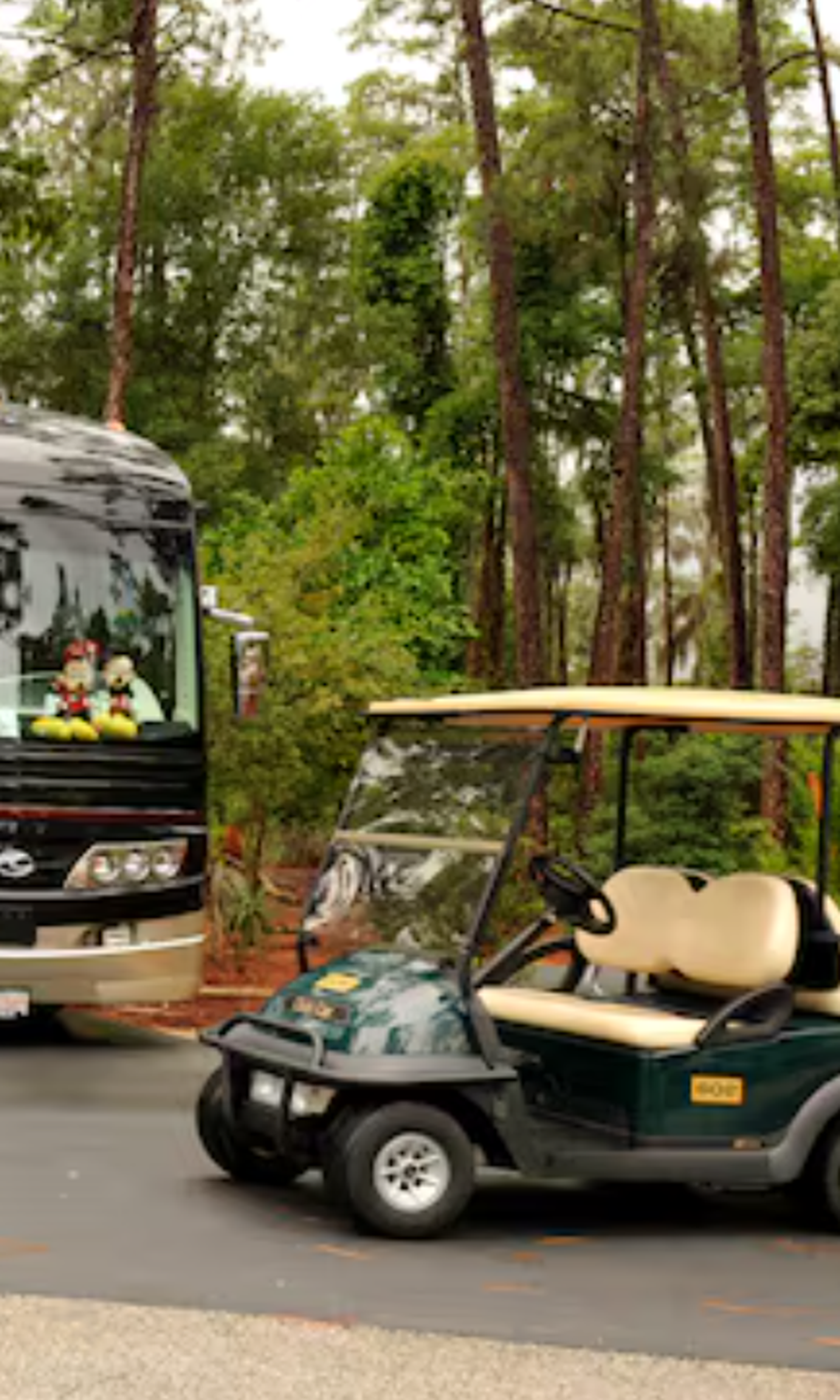Fort Wilderness Resort & Campground