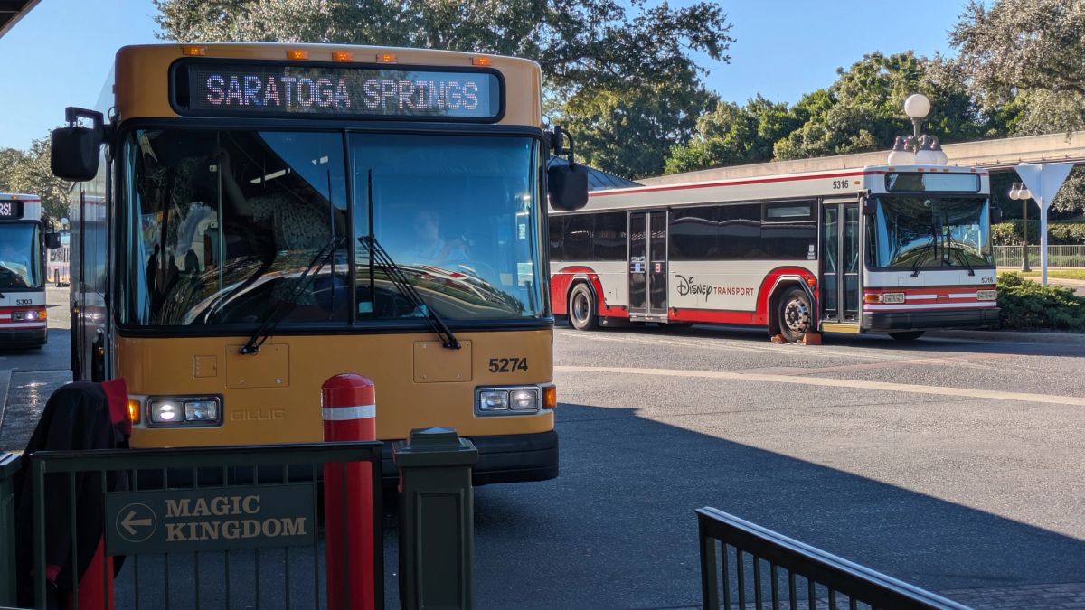 The image shows two buses at a transit area near a theme park. One bus prominently features a destination sign for 'Saratoga Springs,' while the other is a Disney transportation bus.