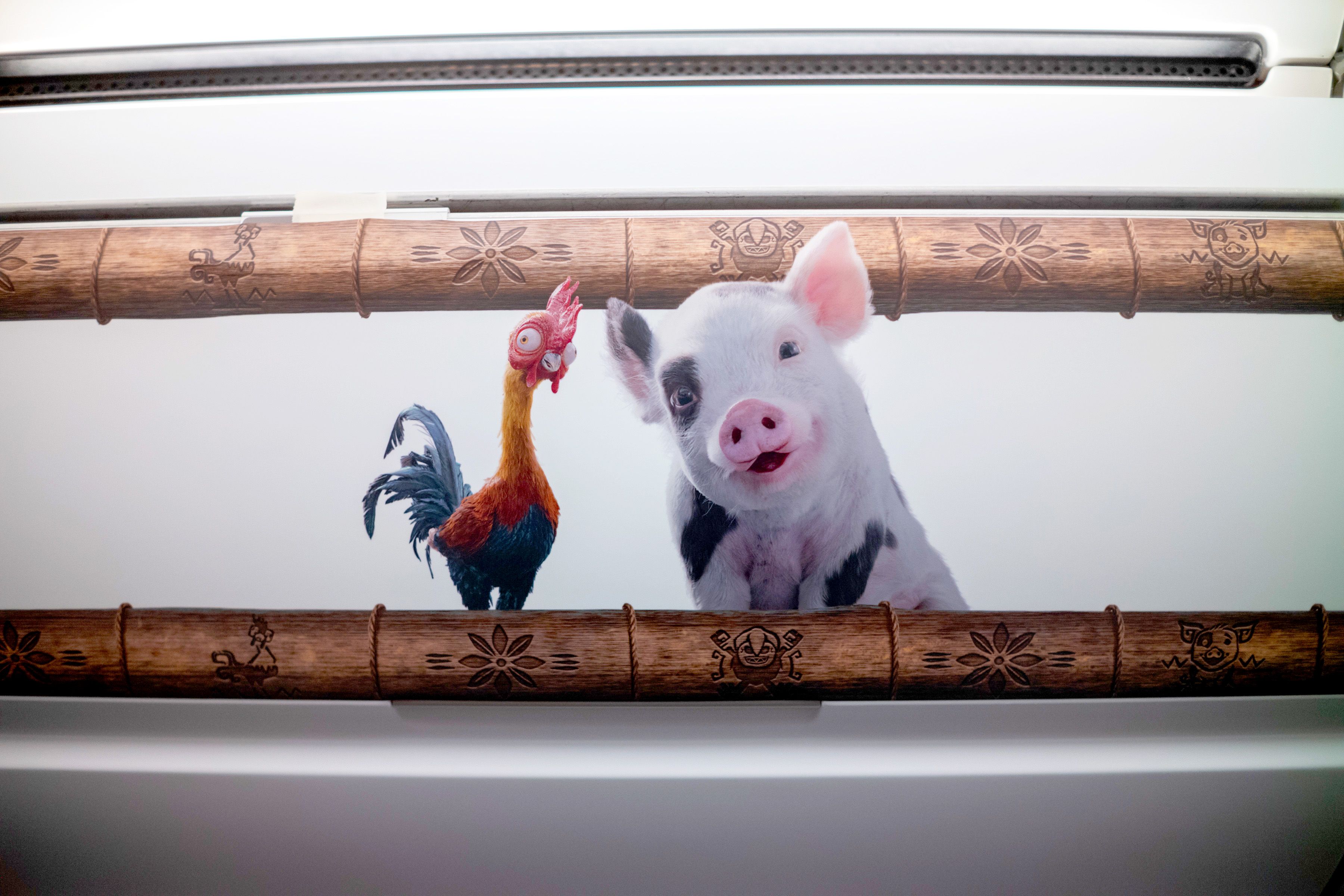 The image features a brightly illustrated mural depicting a rooster and a pig, positioned within a bamboo frame. The rooster is colorful, while the pig has a friendly expression, suggesting a whimsical or playful theme.