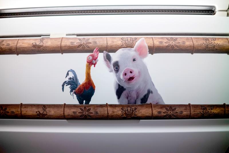 The image features a brightly illustrated mural depicting a rooster and a pig, positioned within a bamboo frame. The rooster is colorful, while the pig has a friendly expression, suggesting a whimsical or playful theme.