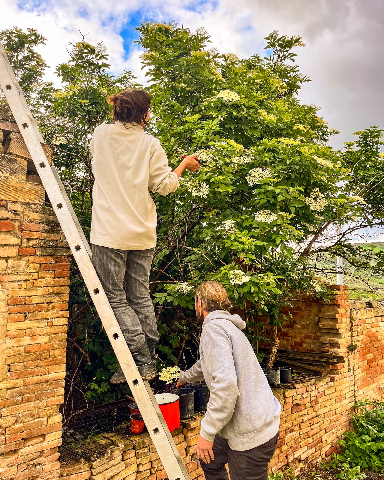 Two people on a ladder against a brick wall