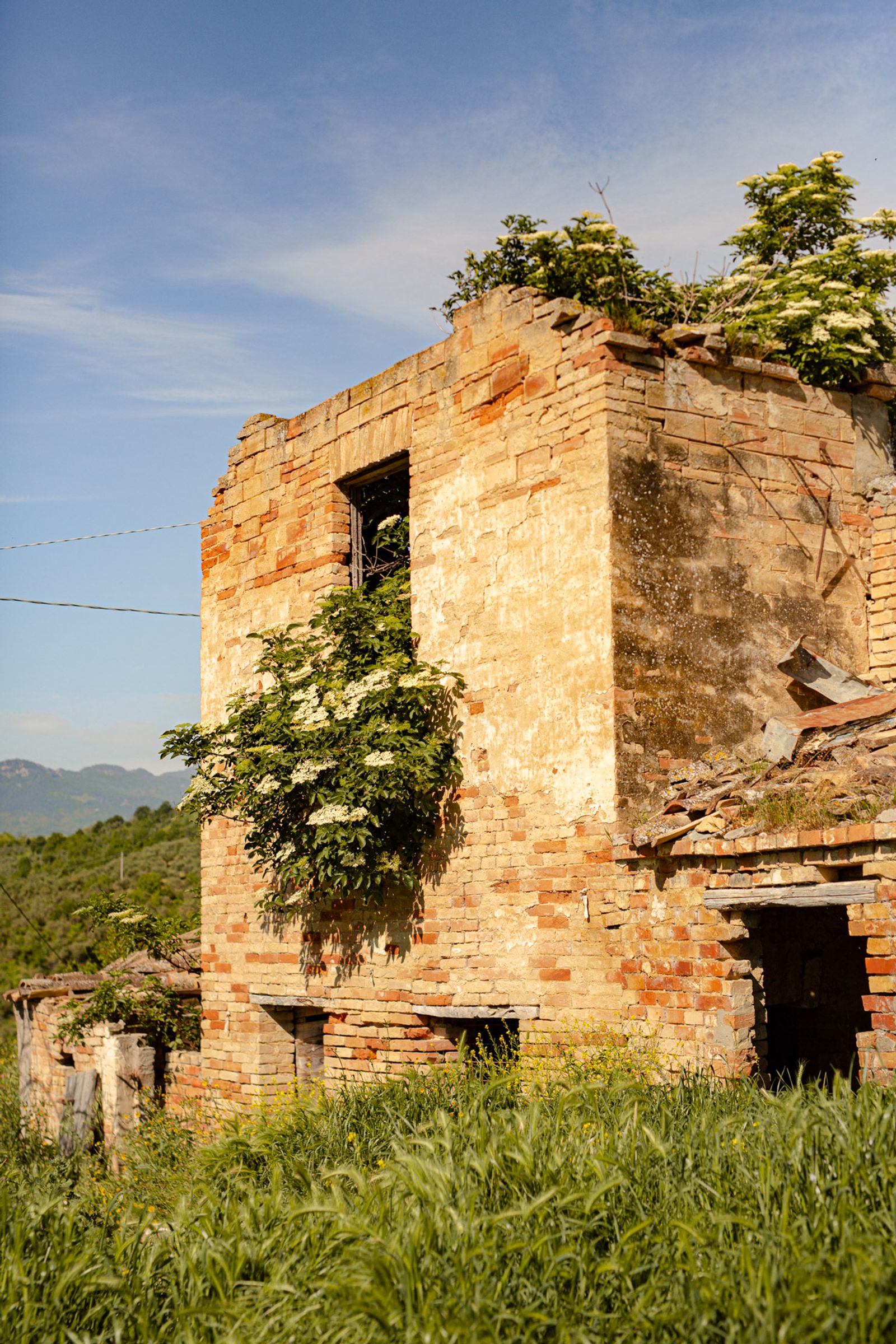 Ruins reclaimed by nature on the hillside