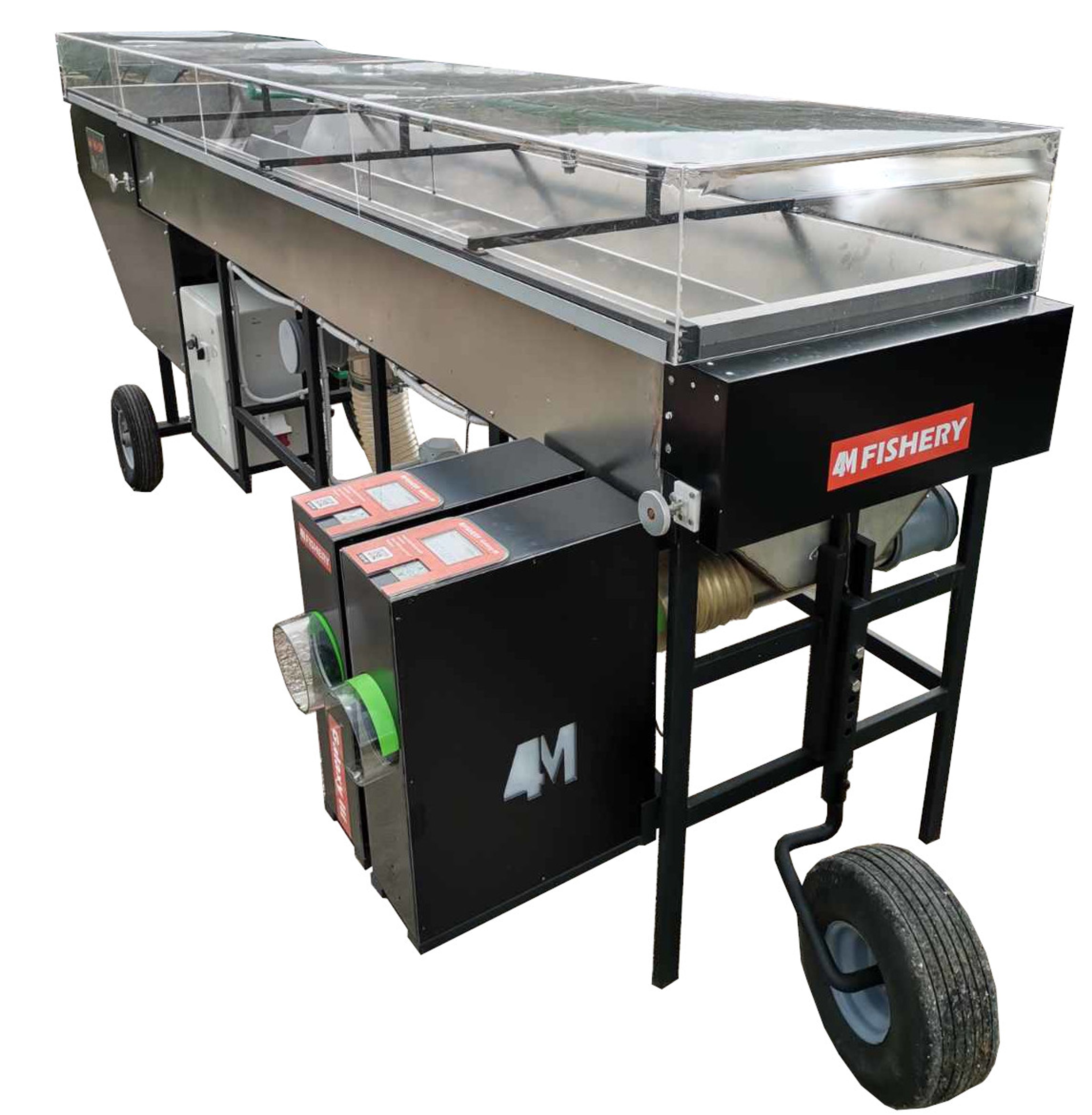 Trout sorting machine