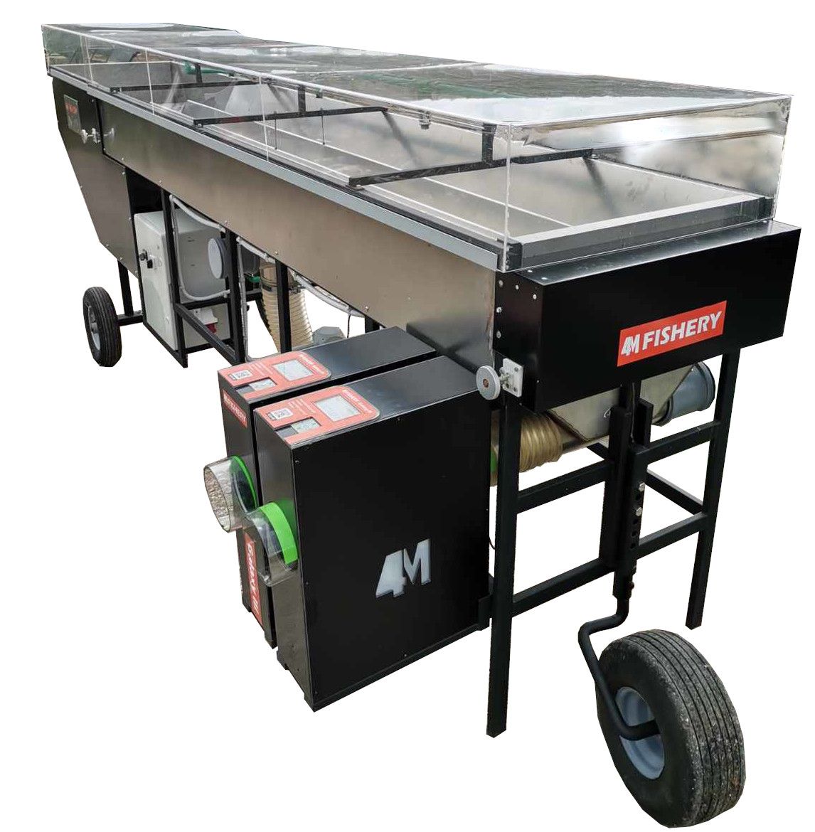 Trout sorting machine