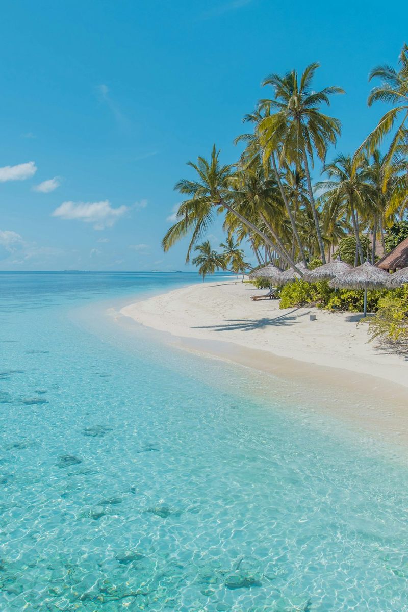 Andaman partner stays