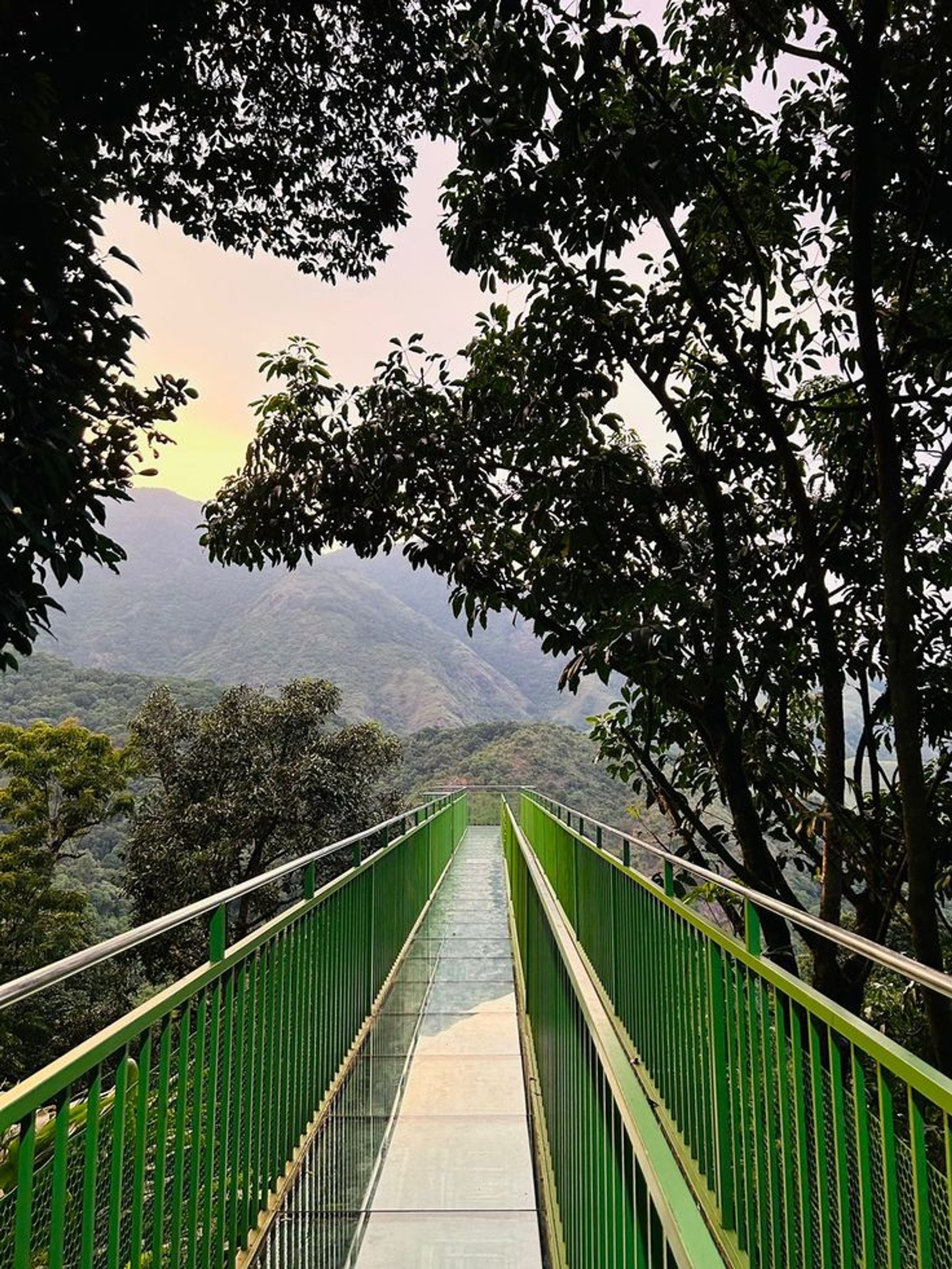 Layered green hills and forest landscape for Thekkady Gavi Kambam