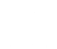 Fiat Professional manufacturer approval