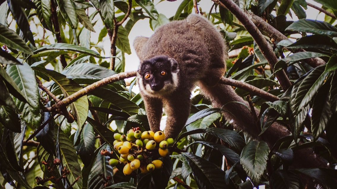 We have been travelling by bike since early October and to be honest the novelty of packing up the bikes, hand washing clothes every day and not knowing where we will sleep has kind of worn off. I long for some creature comforts; running water a flushing toilet and machine clean clothes. I also long [&hellip;]