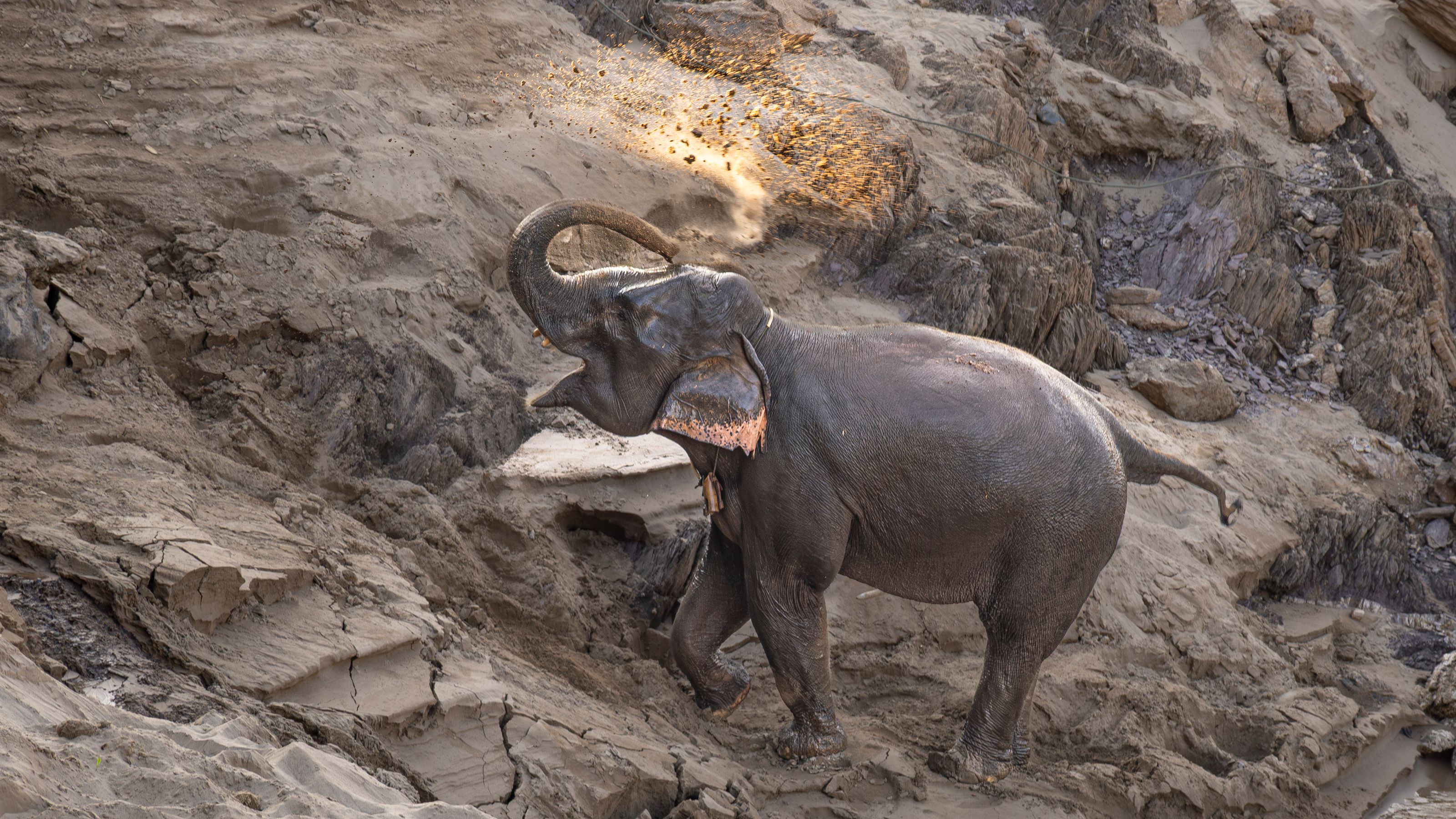 The Land of a Million Elephants