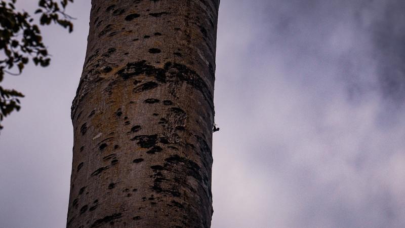 Maybe a Draco? no in-flight shots this time. 