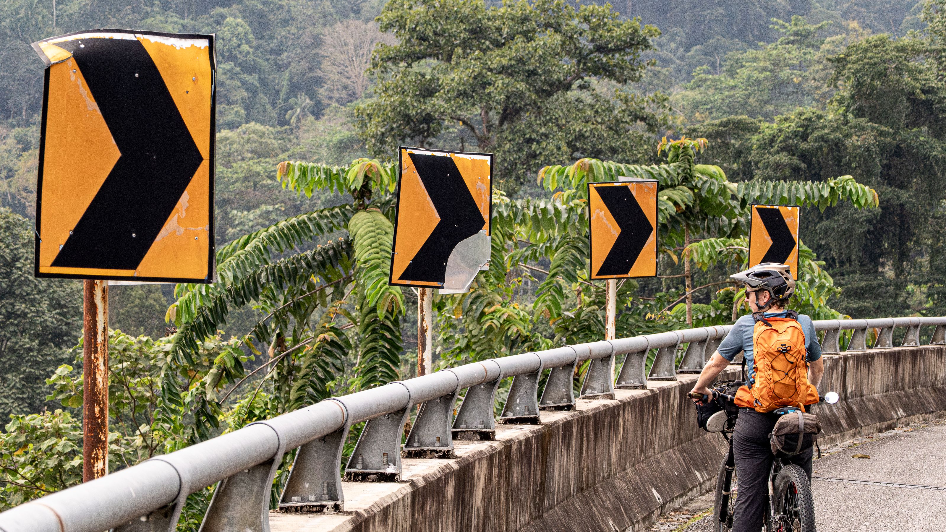 Lettuce Take the High Road