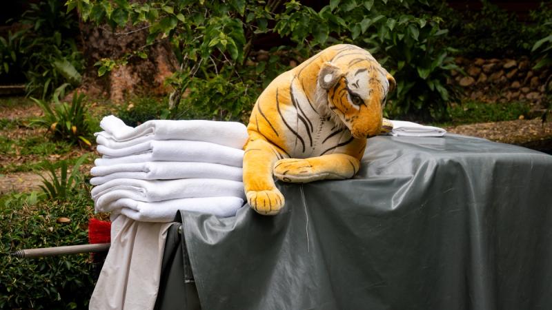 Every housekeeping trolley has a stuffed tiger, to keep the monkeys away. 