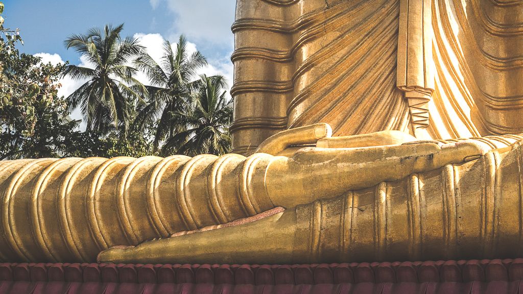 Perhaps by now some of you are wondering where the blooming blogs are? I confess that yes, we have been gadding about in the sunshine with massive grins on our faces, surrounded by the wonders of nature but we have also been working on websites and spending less money here than we would need to at [&hellip;]