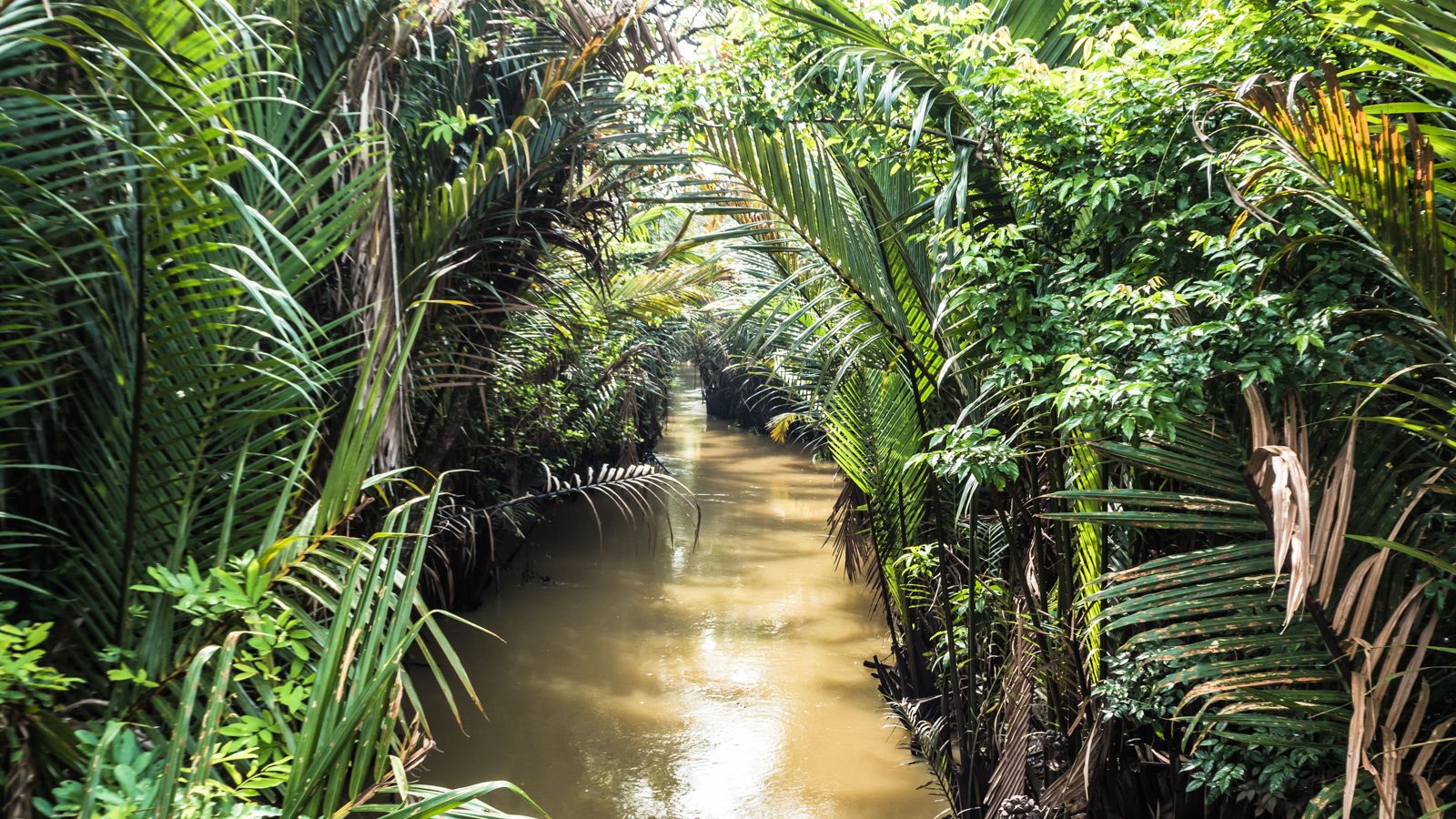 It&#8217;s getting dark now and I&#8217;m tired. Just a few more kilometres to go&#8230; I had been riding incredibly carefully since we noticed the crack in the rear rim so the impending darkness made me very nervous. These Crossmax wheels may be super lightweight but they were built for serious off road riding, 40km after [&hellip;]