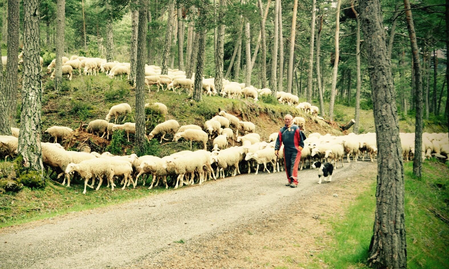 As some of you will be aware, we narrowly avoided a massive soaking last night (thank you weather app, we owe you one).  Our hotel room was very comfortable (thanks for asking) and I finally had the dinner I have been dreaming of for the last week; a plate full of green beans that definitely [&hellip;]