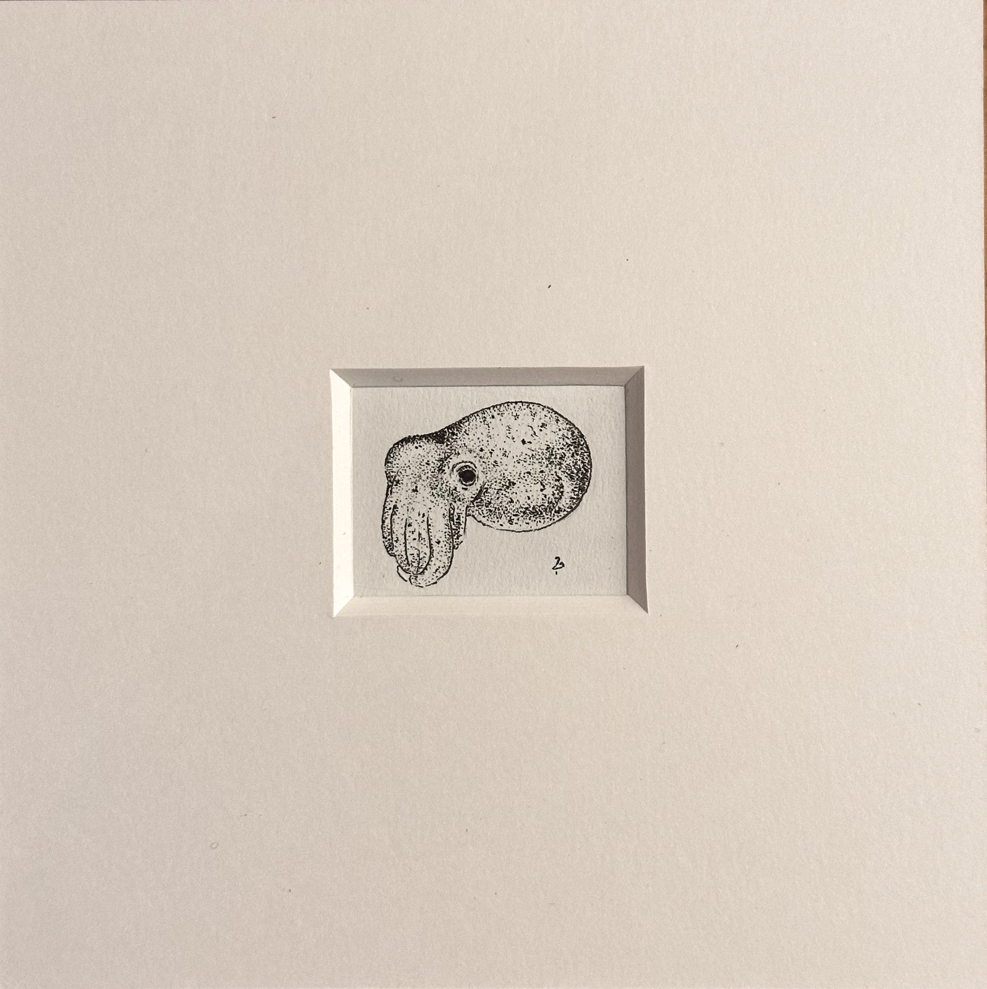 Miniature monochrome drawing of a dumbo octopus