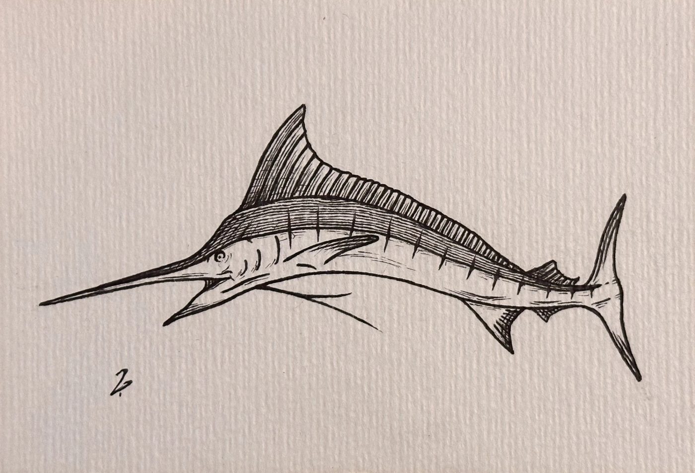 Minimal monochrome sketch of a marlin