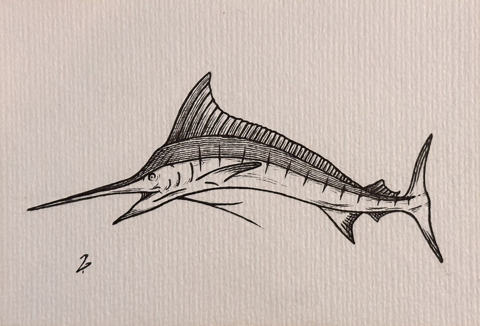 Minimal monochrome sketch of a marlin