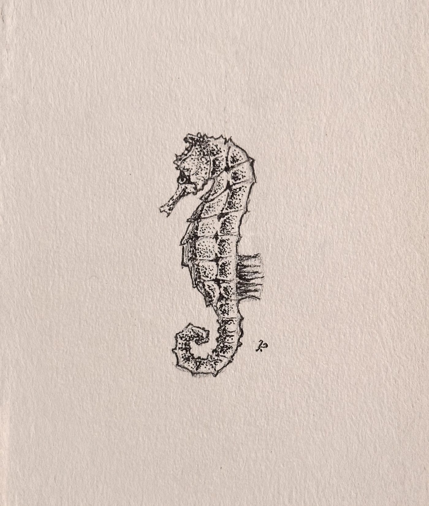 Miniature monochrome drawing of a seahorse in an oval frame