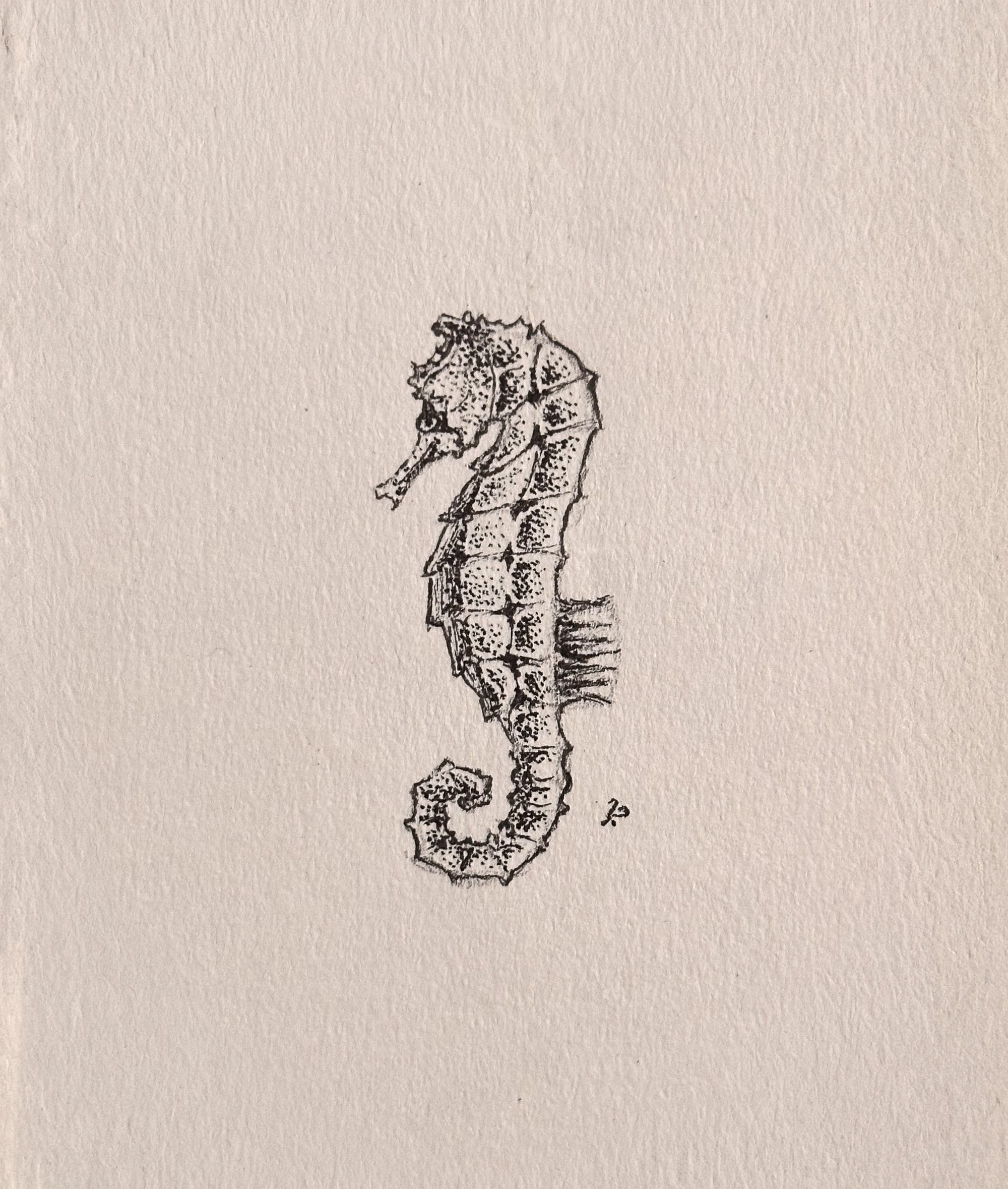 Miniature monochrome drawing of a seahorse in an oval frame