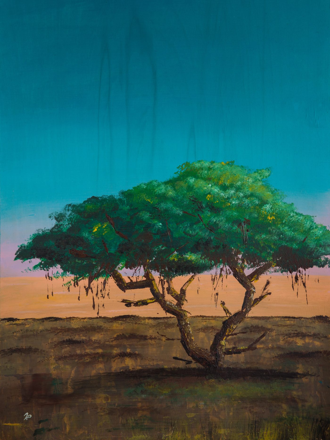 Impressionistic Acacia