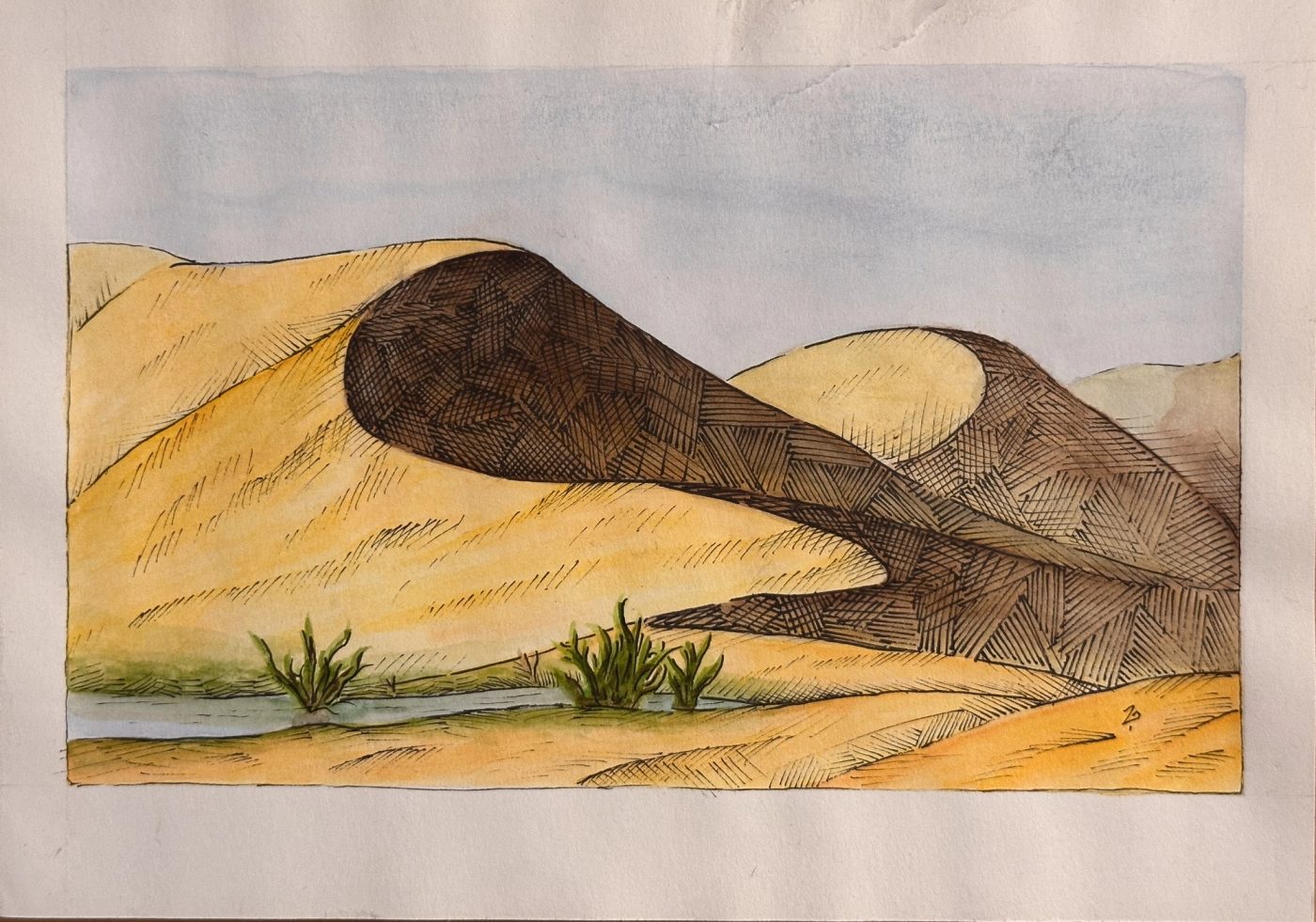 Desert Study